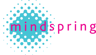 Why Mindspring